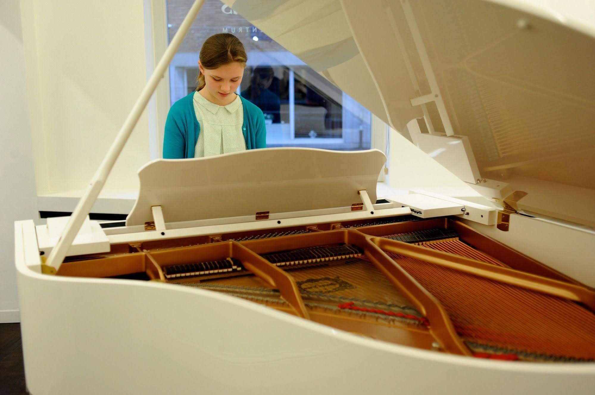 Séjour chez l'habitant The Piano - Kwaadham52 Gand